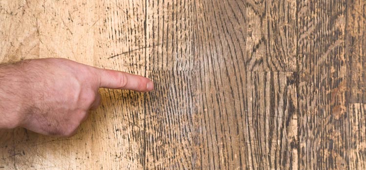 Wood Door Scratch Repair in Saratoga